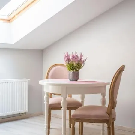Apartament o wysokim standardzie w centrum miasta-3