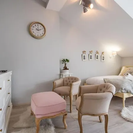 Apartament o wysokim standardzie w centrum miasta-2